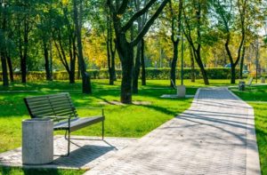 An empty public park on a sunny day