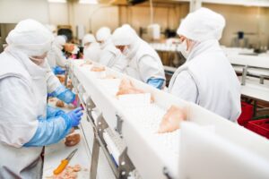 Conveyor belt accident