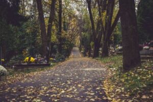 A public park with many leaves covering the ground on an Autumn day